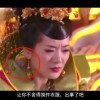 牛彩图库天牛彩报